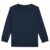 French Navy